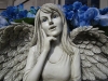 03-026 Angel Face planter close up